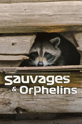 Sauvages et orphelins (2020) poster