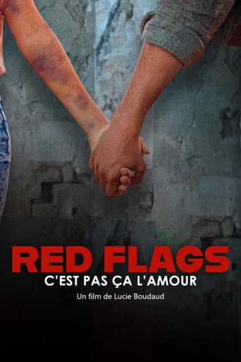 Red Flags – c’est pas ça l’amour (2025) poster