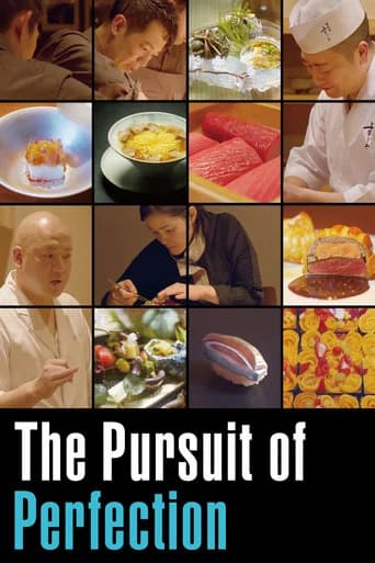 The Pursuit of Perfection (2024) poster