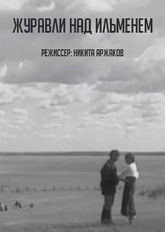 Cranes over Ilmen (2005) poster