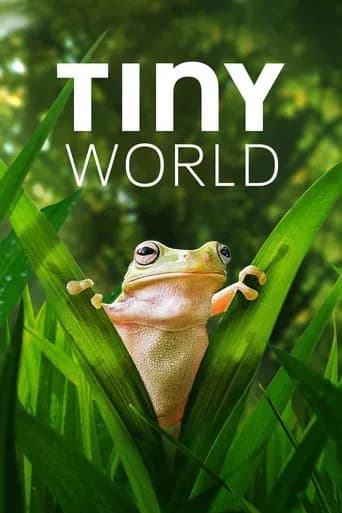 Tiny World (2020) poster