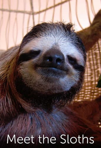 Meet the Sloths (2013) poster