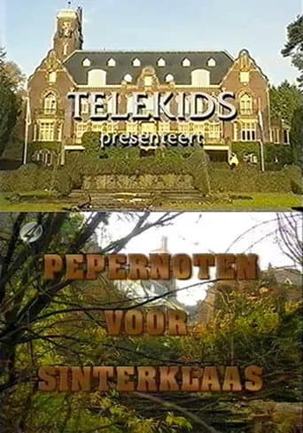Pepernoten voor Sinterklaas (1995) poster