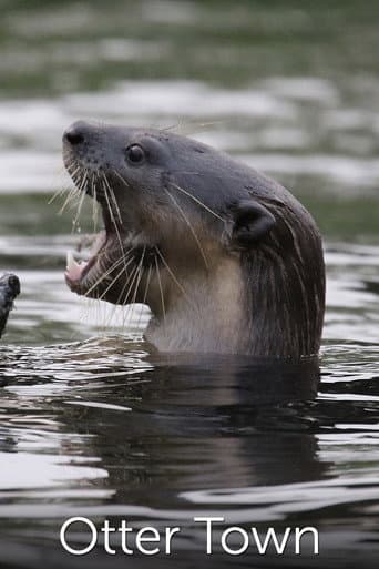 Otter Town (2016) poster
