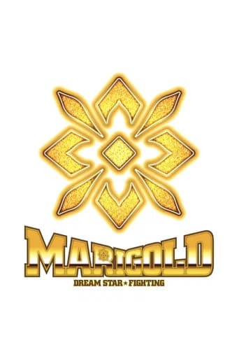 Dream Star★Fighting Marigold (2024) poster