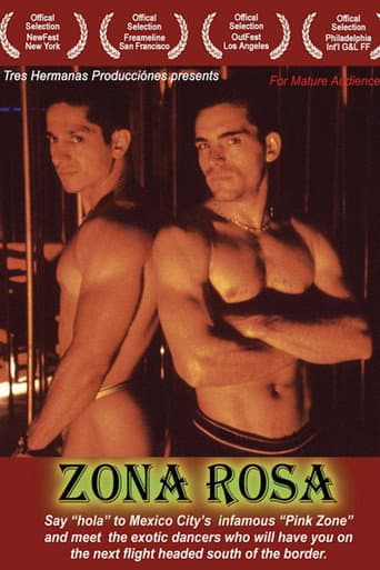 Zona Rosa (2005) poster