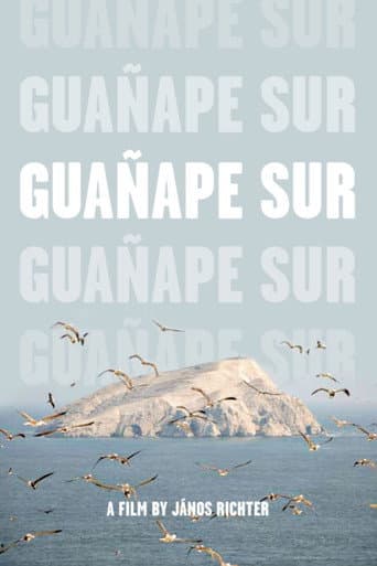 Guañape sur (2011) poster