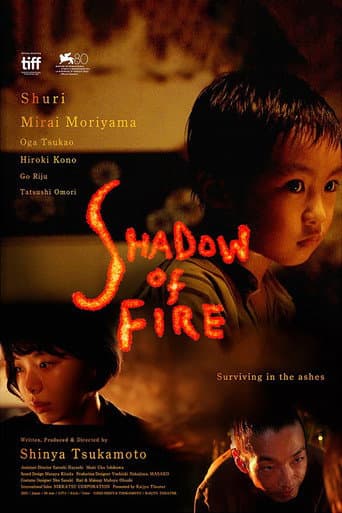 Shadow of Fire (2023) poster