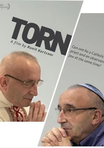 Torn (2011) poster