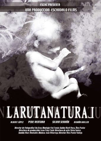 The Natural Route (2004) poster