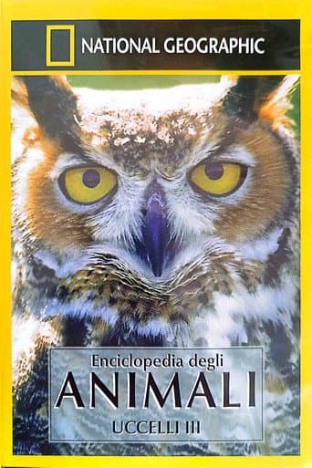 Owls: Silent Hunters (2001) poster
