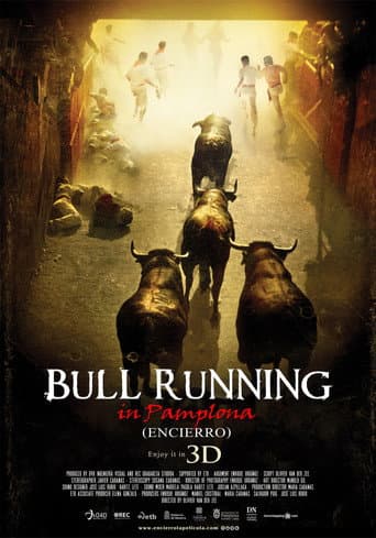 Encierro 3D: Bull Running in Pamplona (2013) poster