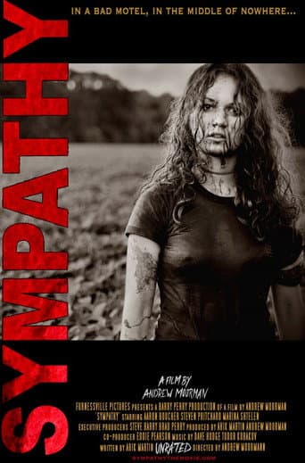 Sympathy (2007) poster