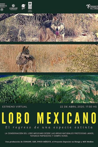 Lobo Mexicano (2020) poster