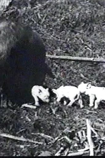 Mamma's Pets (1898) poster