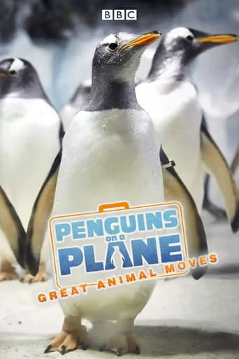 Penguins on a Plane: Great Animal Moves (2014) poster