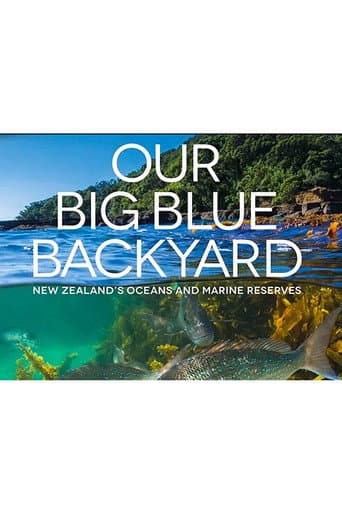 Our Big Blue Backyard (2014) poster
