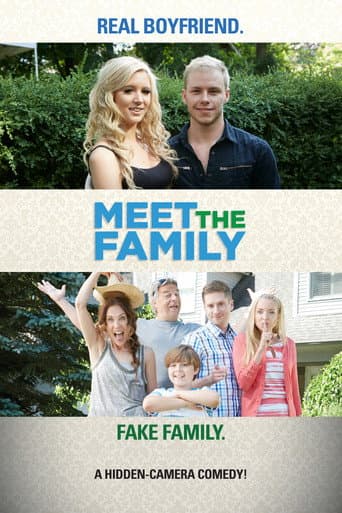Meet the Family (2013) poster