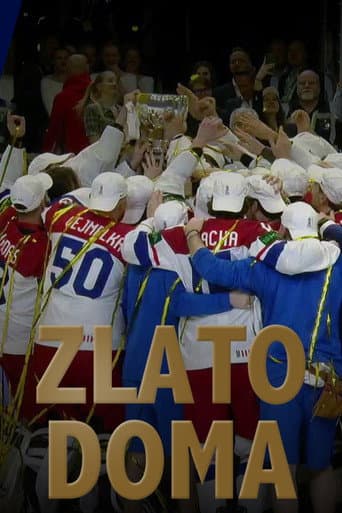 Zlato doma (2024) poster