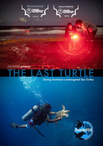 The Last Turtle (2019) poster