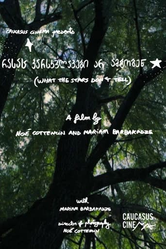 What the Stars Don’t Tell (2025) poster