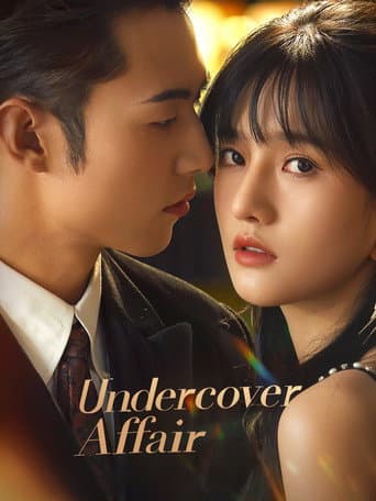 Undercover Affair (2024) poster