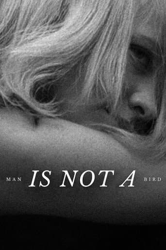 Man Is Not a Bird (1965) poster