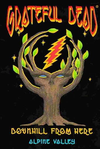 Grateful Dead: Downhill from Here (1989) poster
