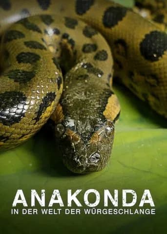 Anaconda: Silent Killer (2014) poster