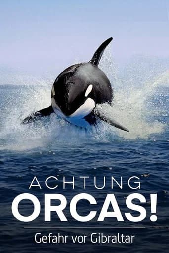Watch Out for Orcas! Danger Off Gibraltar? (2024) poster
