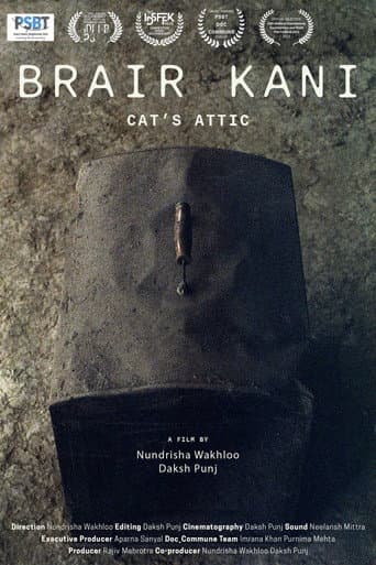 Cat's Attic (2023) poster