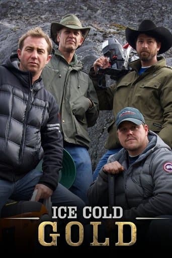 Ice Cold Gold (2013) poster
