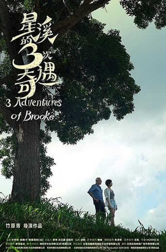 Three Adventures of Brooke (2019) poster