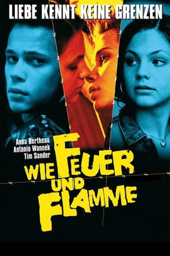 Never Mind the Wall (2001) poster