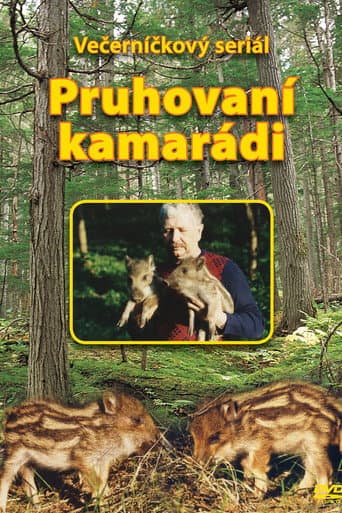 Pruhovaní kamarádi (1998) poster