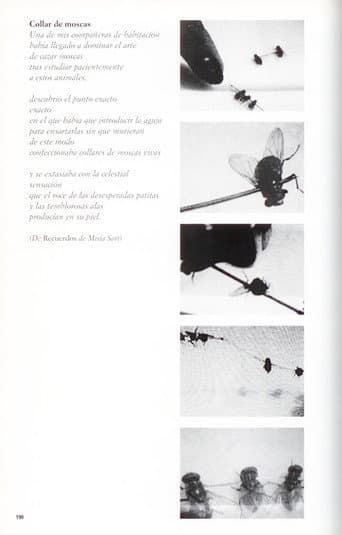Collar de moscas (2002) poster