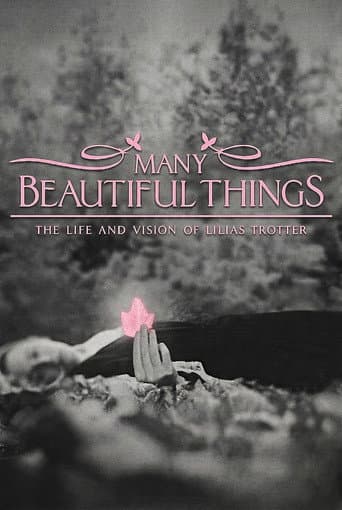 Many Beautiful Things (2015) poster