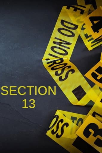 Section 13 (2013) poster