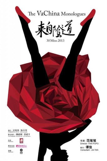 The Vachina Monologues (2013) poster