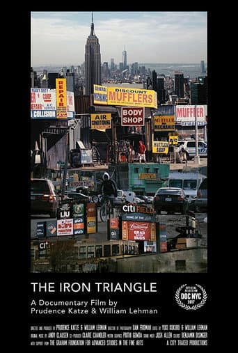 The Iron Triangle: Willets Point and the Remaking of New York (2017) poster