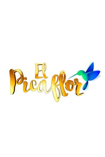 El Picaflor (2016) poster