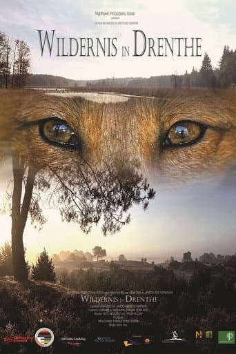 Wildernis in Drenthe (2016) poster