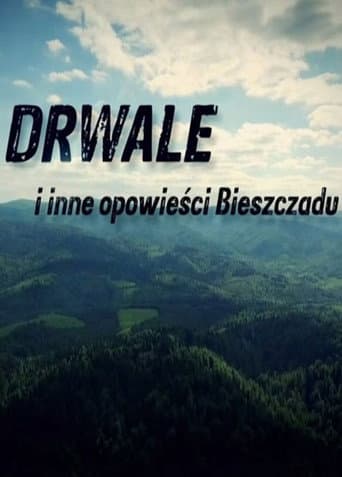 Drwale i inne opowieści Bieszczadu (2016) poster