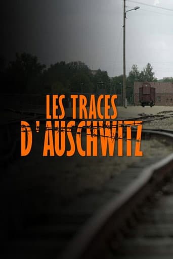 Les Traces D'Auschwitz (2021) poster