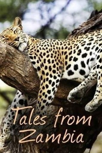 Tales from Zambia (2017) poster