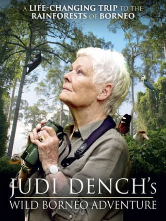 Judi Dench's Wild Borneo Adventure (2019) poster