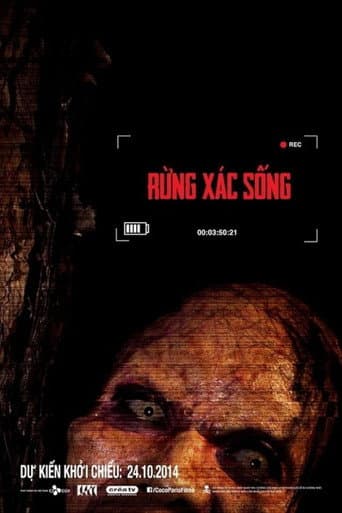 The Lost Tour: Vietnam (2014) poster