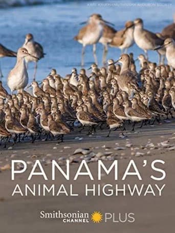 Panama's Animal Highway (2017) poster