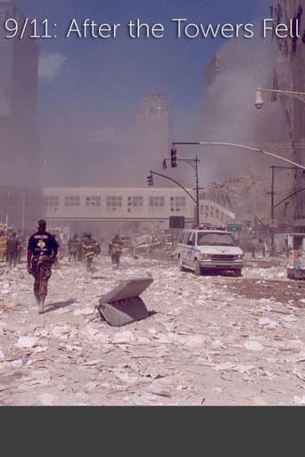 9/11: After The Towers Fell (2010) poster