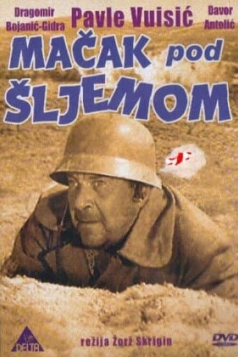 Cat Under a Helmet (1962) poster